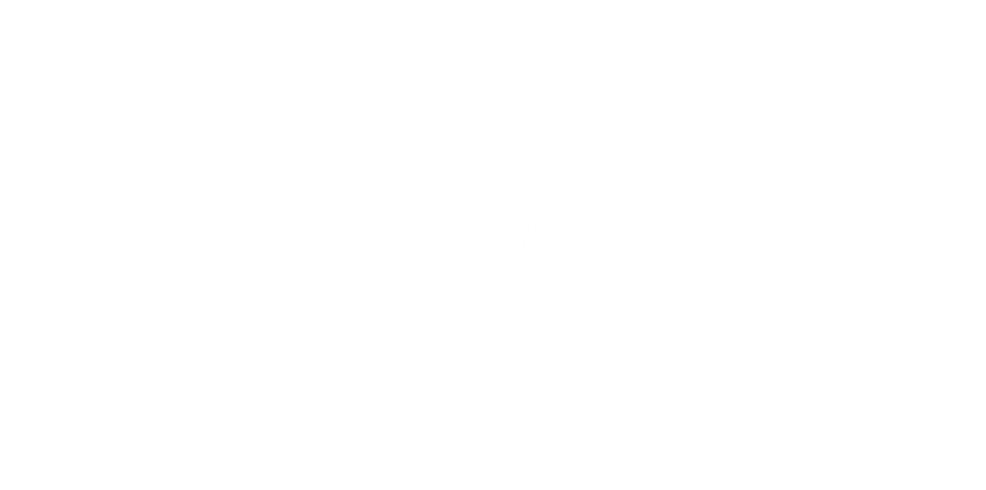 g2